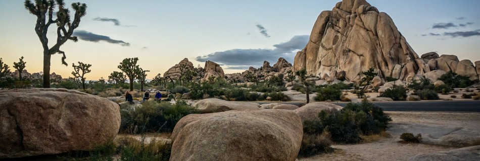 Day Trips to Joshua Tree